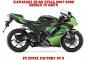 Preview: EV-X Grün für Kawasaki ZX-6R 2007-2008